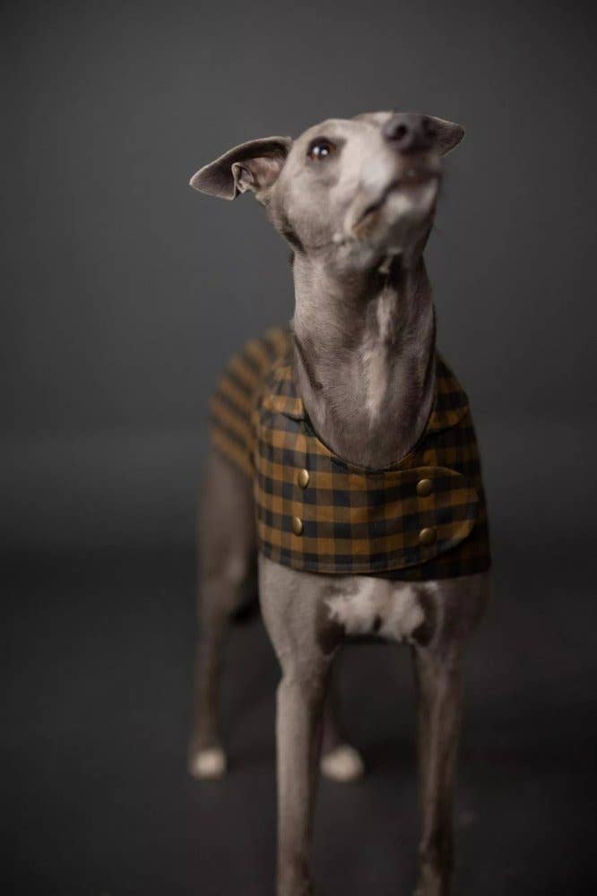 Barka Dog Coat — Merchant and Mills, photo 3 of 6
