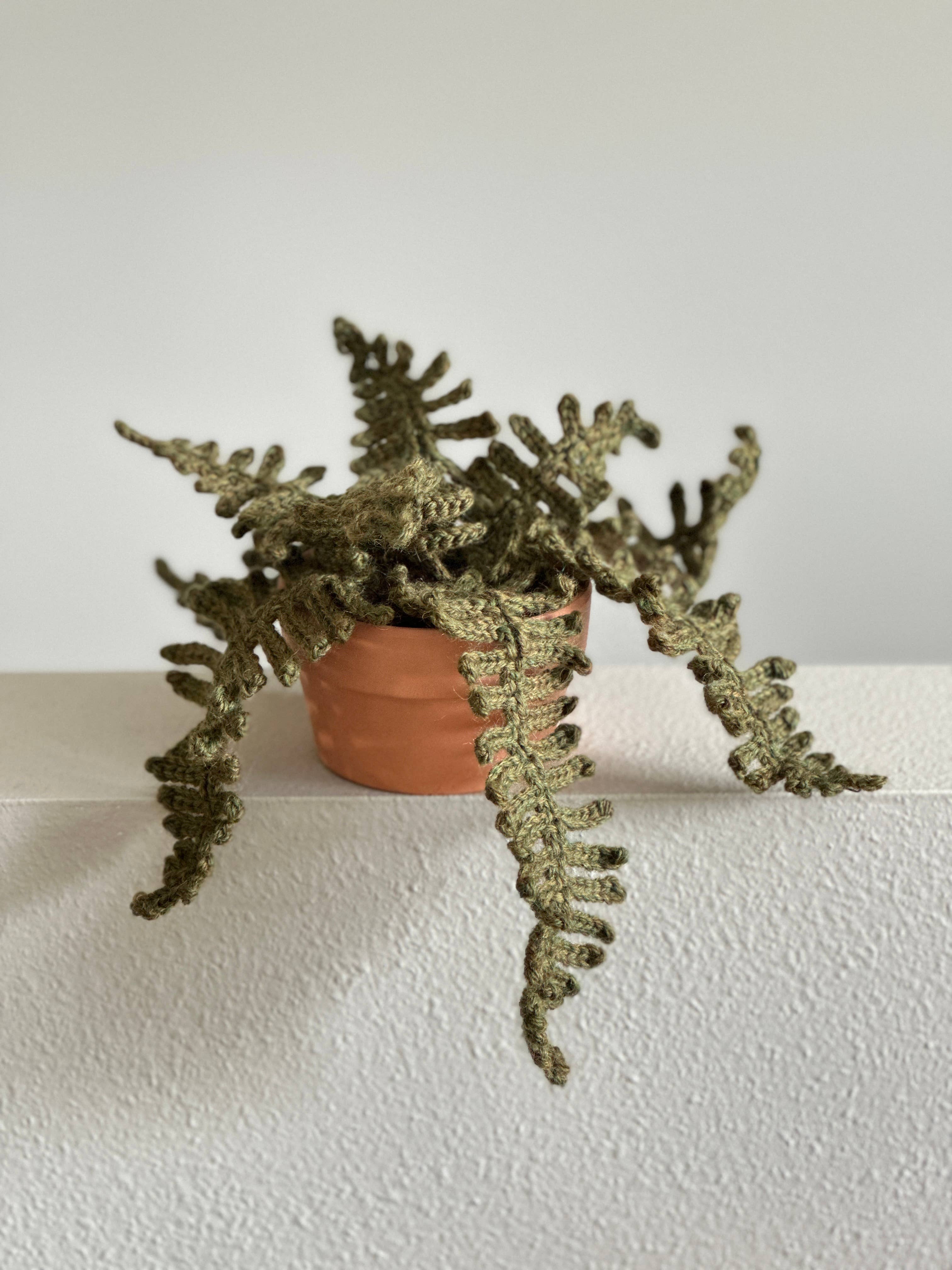 Forest Fern Crochet Kit, photo 1 of 3