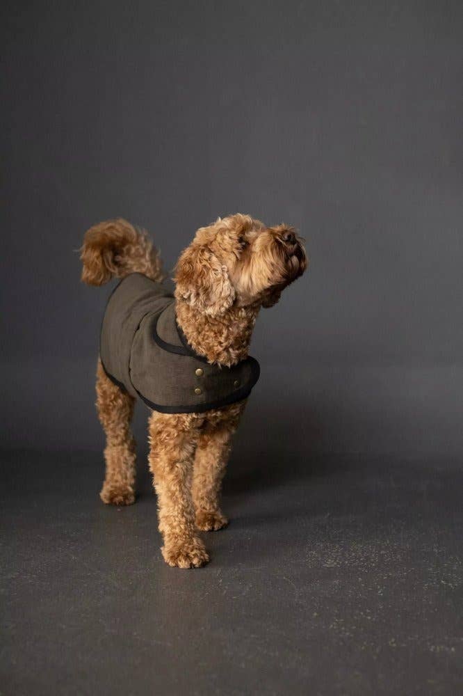 Barka Dog Coat — Merchant and Mills, photo 5 of 6