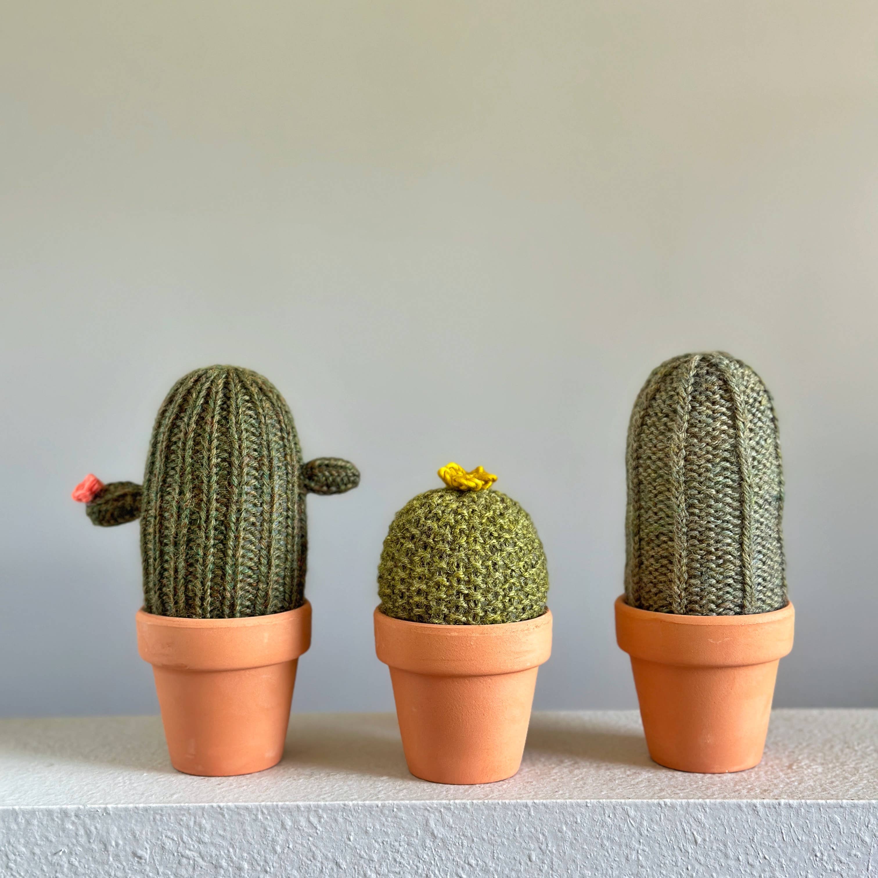 Cactus Knit Kit A, photo 1 of 3