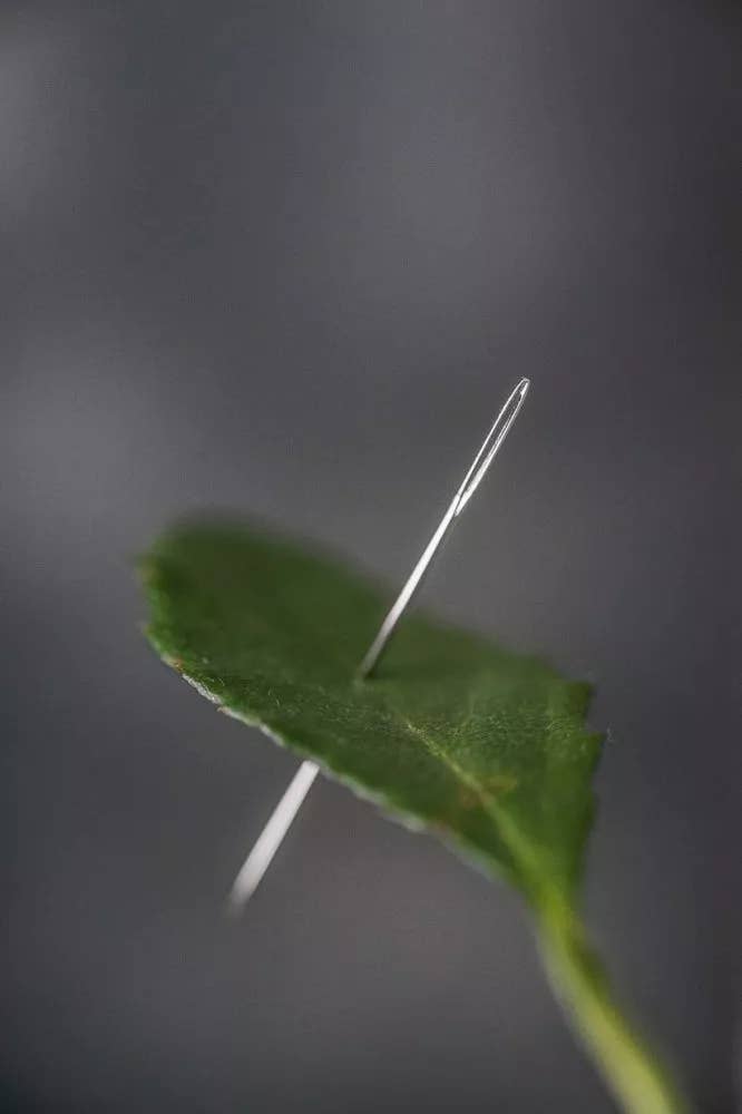 Chenille Needles — Merchant and Mills, photo 3 of 3