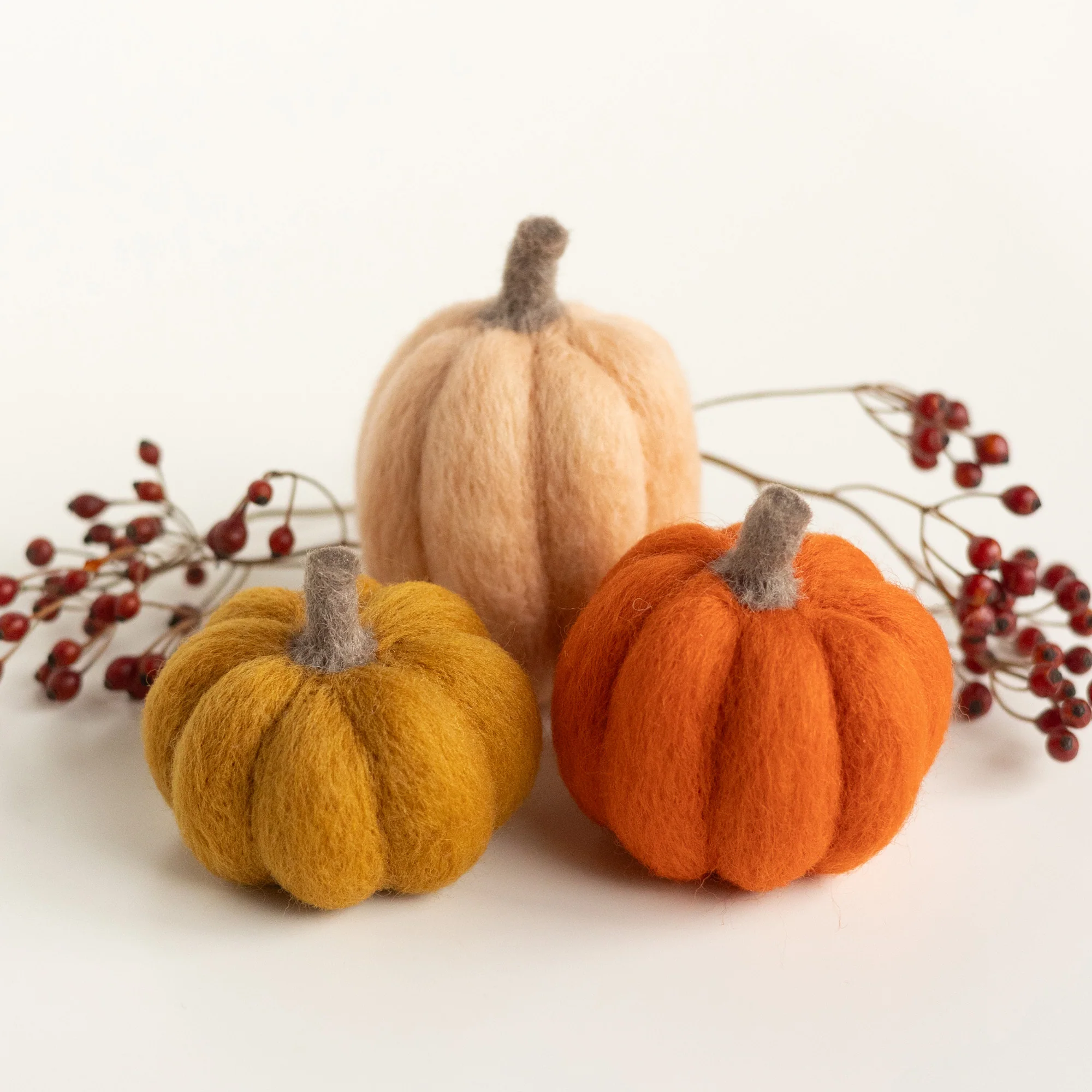 Pumpkin Trio Kit — Felted Sky, photo 1 of 2