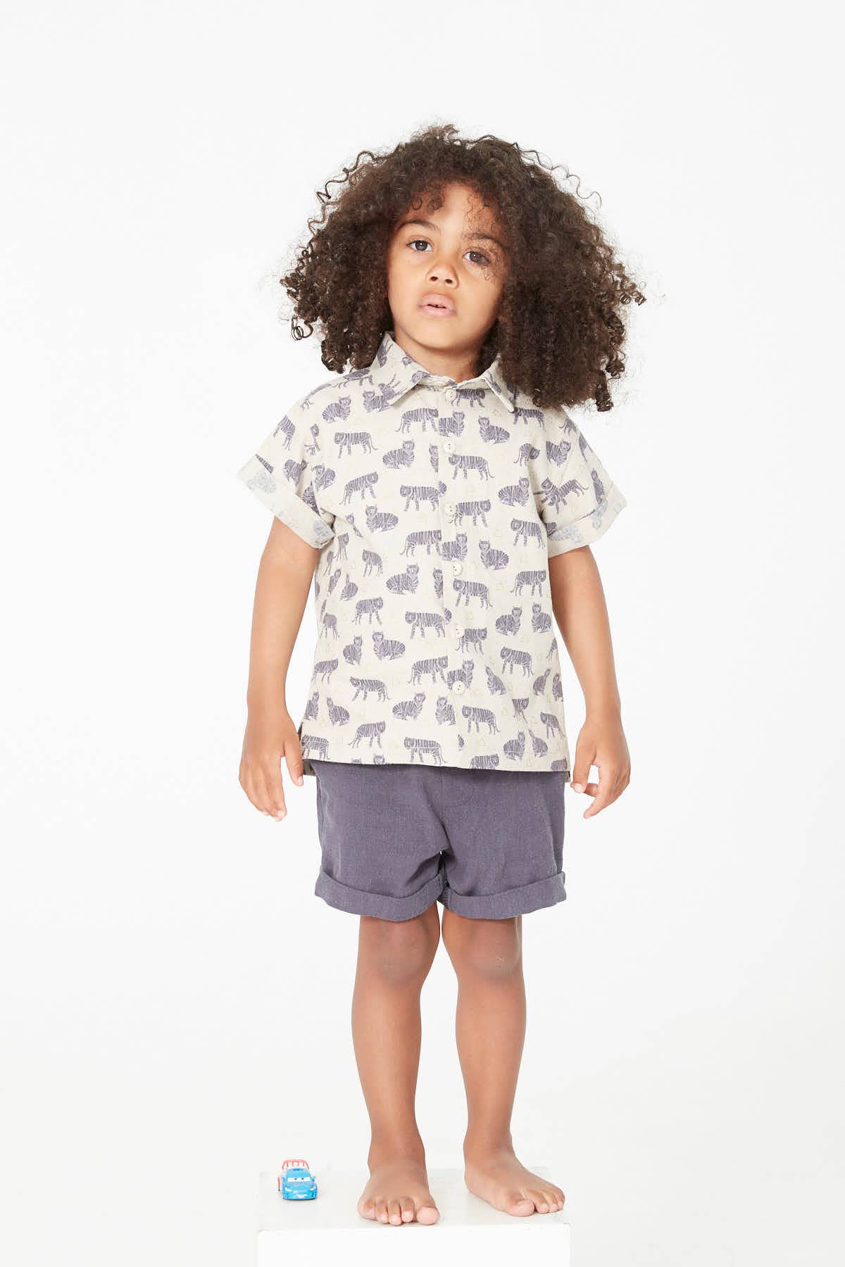 Cactus Shirt Sewing Pattern, photo 4 of 5