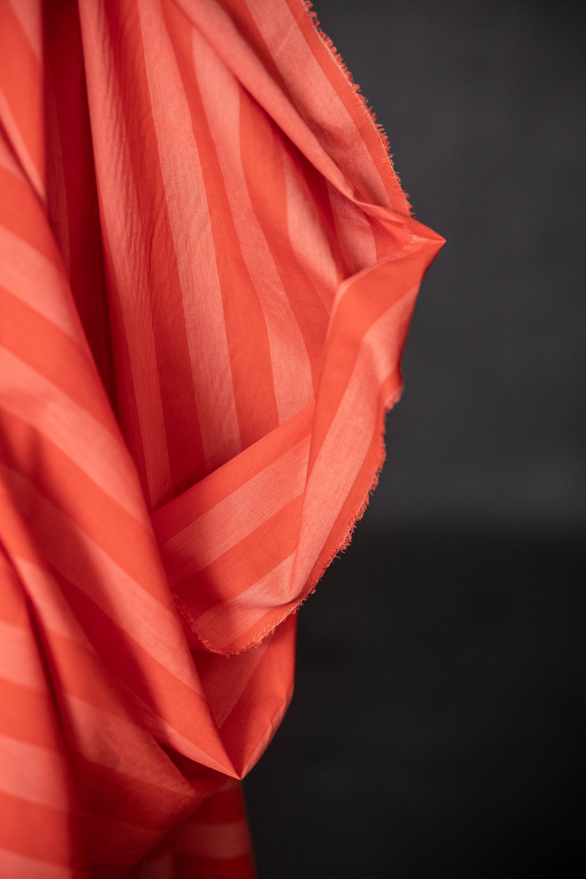 Roadrunner Cotton — Merchant and Mills, photo 2 of 2