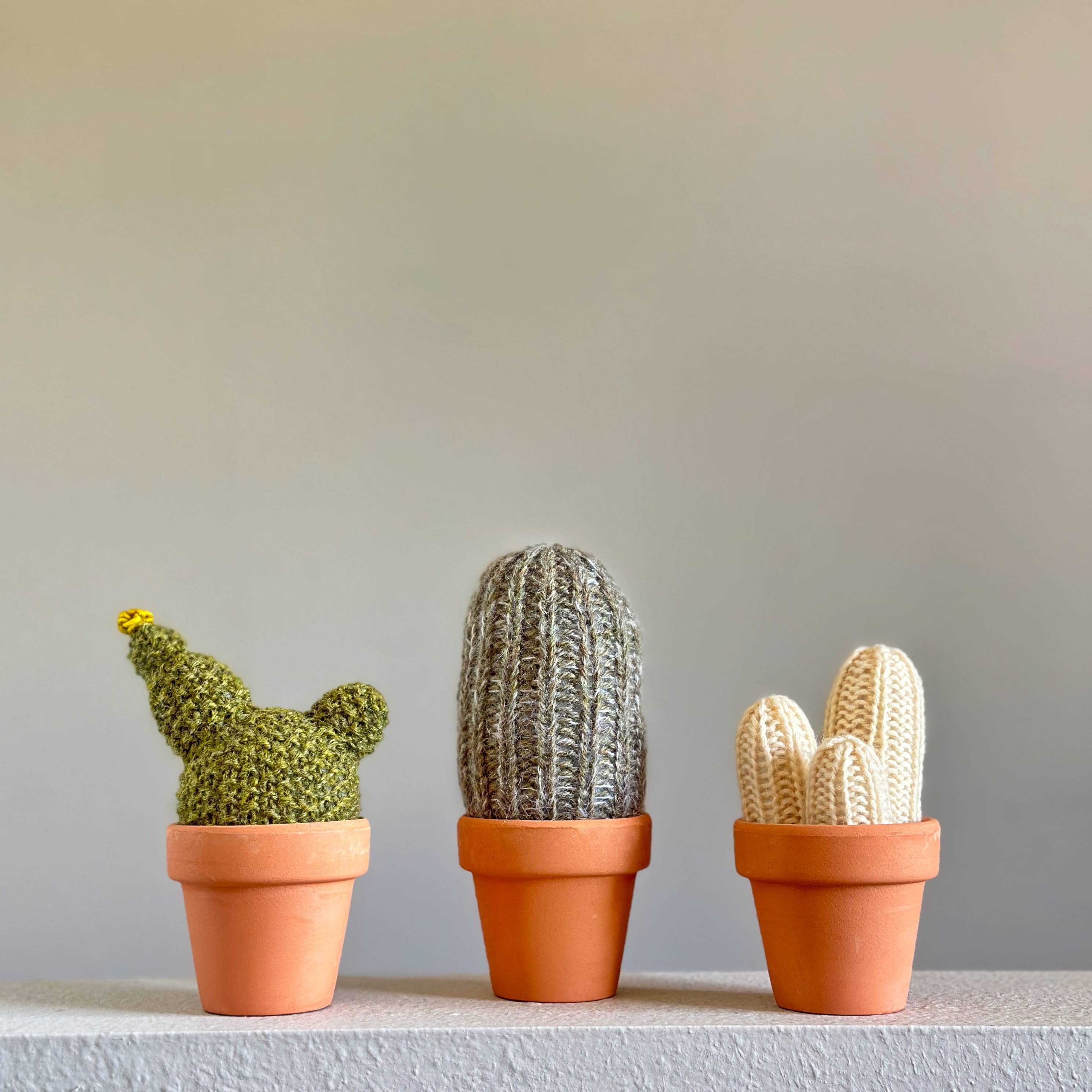 Cactus Knit Kit B, photo 1 of 3